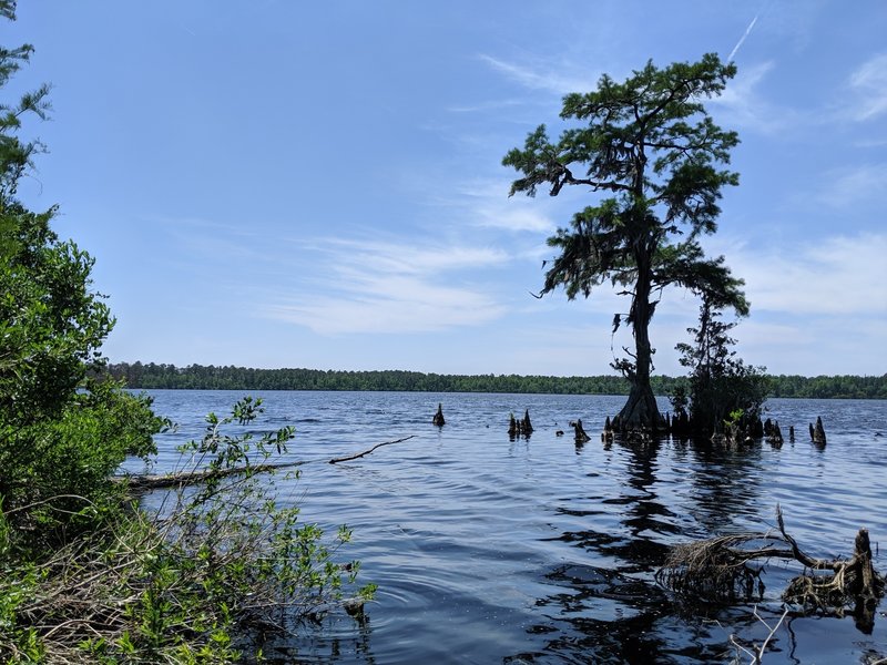 Lake lookout point