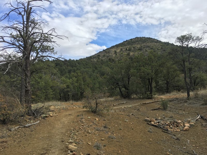 Nice singletrack on Pinon Loop Trail