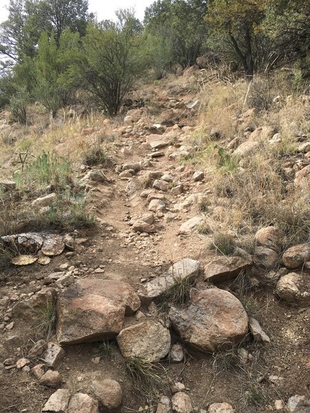 Rough ascent up the Mountain Loop Trail