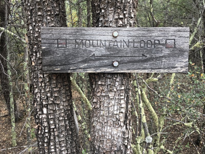 Trail sign on alligator juniper