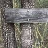 Trail sign on alligator juniper