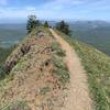 Saddle Mountain Trail