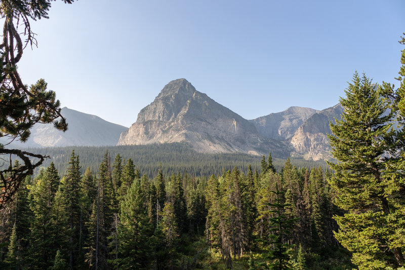 A peak through the trees at the mountains across the Cut Bank Creek