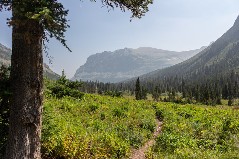 Bad Marriage Mountain from the Medicine Grizzly Trail.