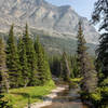 A very shallow stretch of the North Fork Cut Bank Creek with Bad Marriage Mountain hovering above.