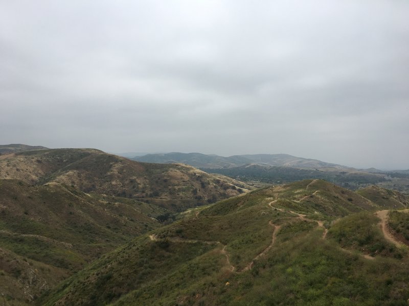 View from the top of Chute Ridge Trail