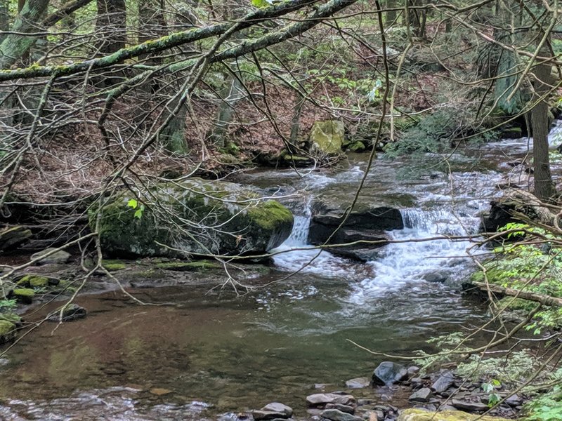 Flat rock run small cascade.