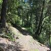 New River Trail near Barron creek in western Trinity Alps Wilderness