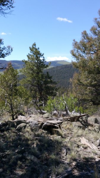 View of Aspen Ridge