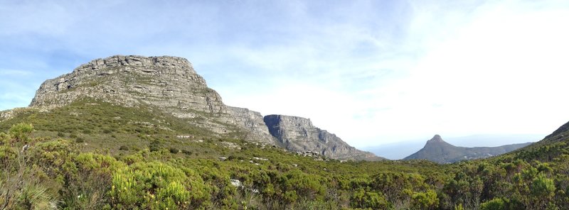 Table Mountain and Lion's Head from near the top of Newlands Ravine