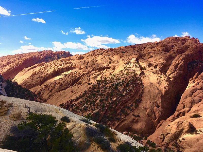 Looking southwest over Upper Muley Twist Canyon from trail on east rim