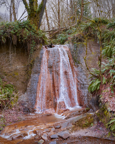 Late winter rain lets Coal Creek put on a little show.