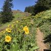 One of the three meadows along the trail.