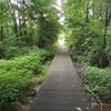 Boardwalk at Murray's Mill