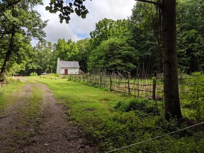 Coming out of the woods at the Gilmore Farm -- cabin built by a former slave of James Madison in the 1870s. Restored to its 1875 appearance.