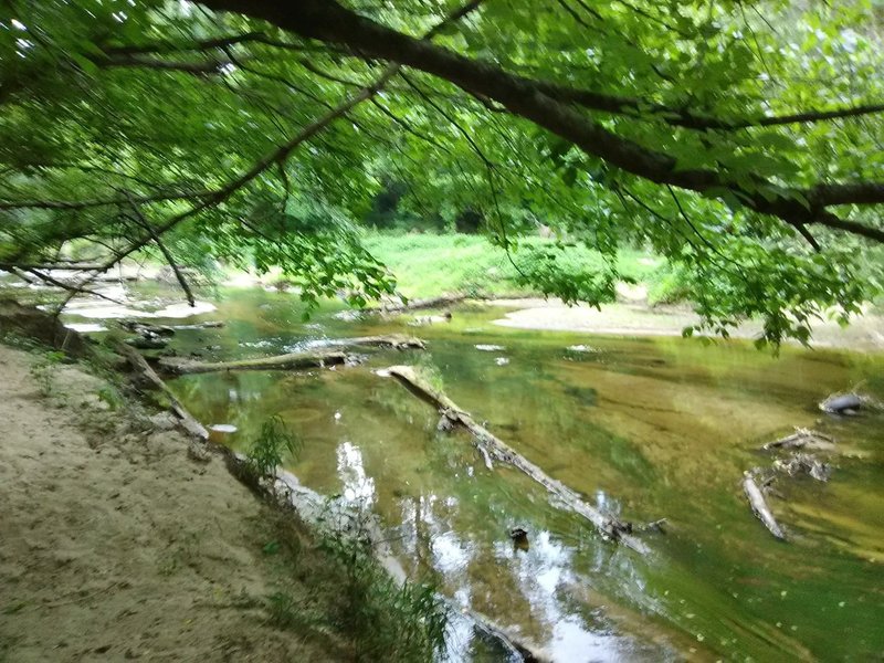 Ellerbee Creek