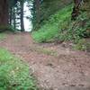 You can see how steep portions of the Alma Trail are as it climbs toward the intersection with the Redwood Springs Trail.