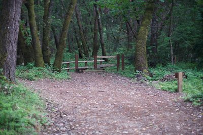 The trail approaches a private driveway that you need to cross to get to the summit. Take a minute to enjoy the respite from all of the climbing that you have been doing.