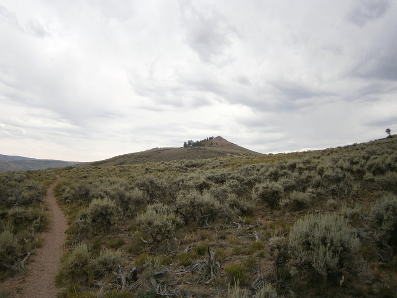 Looking up at signal peak above Rasta Gulch