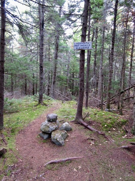 Mt. Ingalls' summit has more views than the way up.