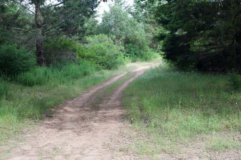 The trail turns to dirt at this point as it climbs higher into the preserve.