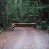 A nice bridge provides you an easy method for crossing this creek.