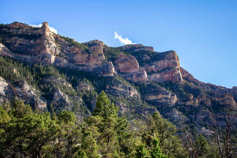 The rim of Shell Canyon looking southwest. This trail features some of the most diverse terrain Wyoming has to offer, with high alpine forests, mid-mountain ponderosa forests, steep canyon walls, and low desert landscapes.