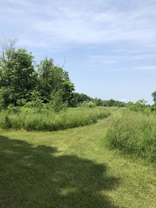Looking towards Coyote Ridge.