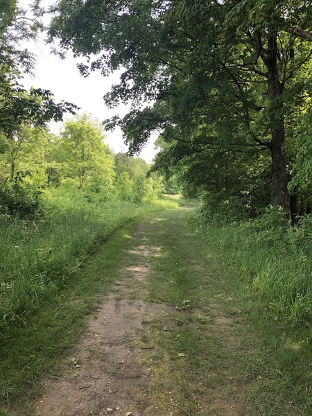 Walking along the wide grassy path.