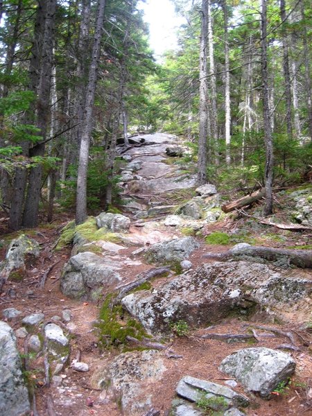 Slippery when wet! The final climb up to Gentian Pond looks like this.