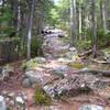 Slippery when wet! The final climb up to Gentian Pond looks like this.