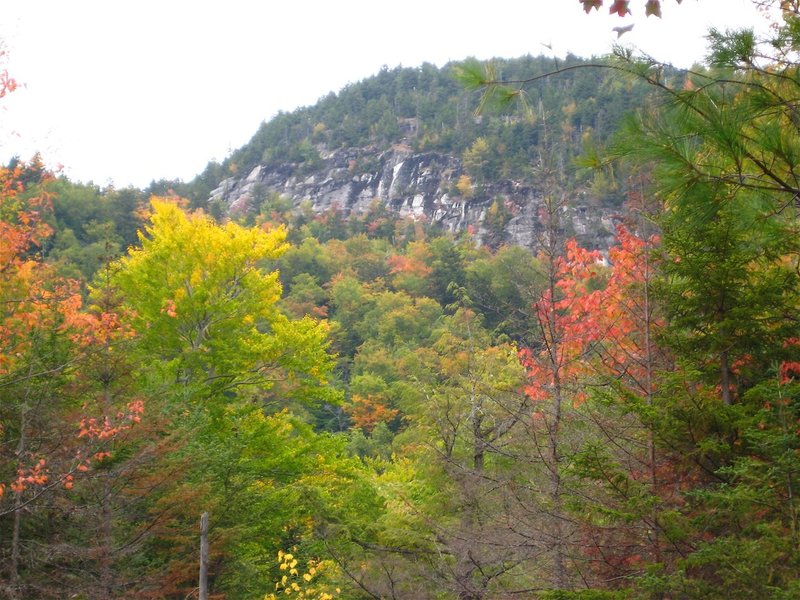 New Hampshire has the best fall colors of anywhere on earth. This is from the beaver meadows below Gentian Pond.