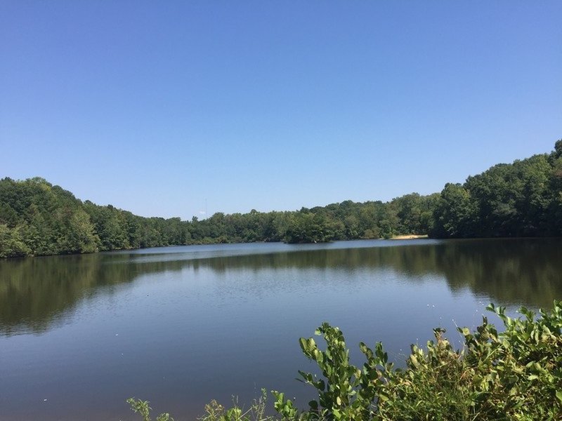 Andrew Jackson State Park Lake