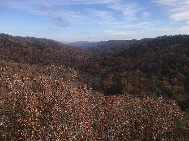 View from the Mesa Top Trail at Pogue Creek Canyon.