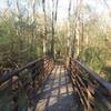 Boardwalk at Wetland Trail - River Park