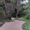 First Broad River Trail.