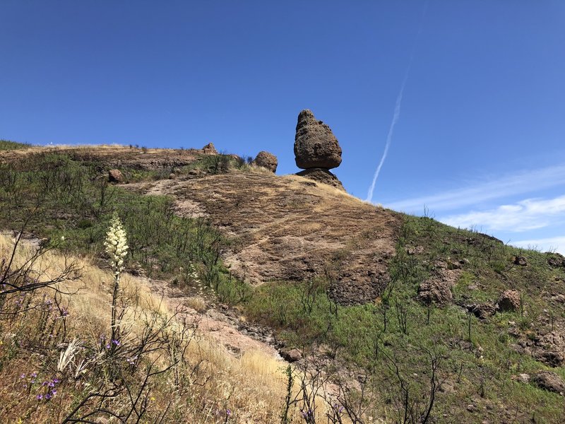 On the trail to Balancing Rock.