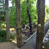 Bridge at Buffalo Creek Preserve Trail