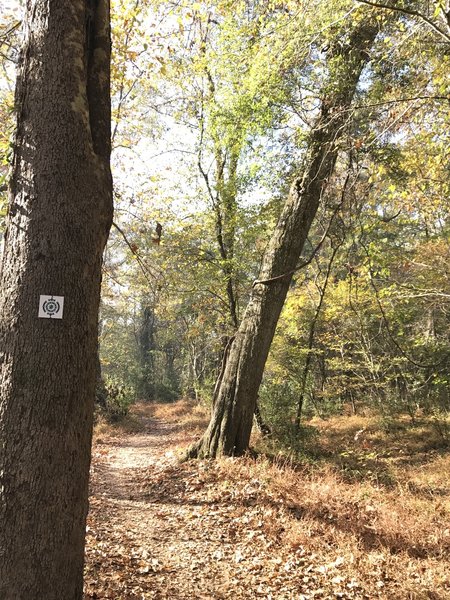 Carolina Thread Trail assurance marker along South Fork Trail