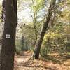 Carolina Thread Trail assurance marker along South Fork Trail