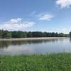 Looking South down the Sioux River