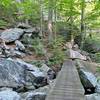 Panorama of creek crossing just after my encounter with a red fox!