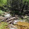 The first creek crossing. A little tricky, but the logs/branches people have placed stayed put in both directions.