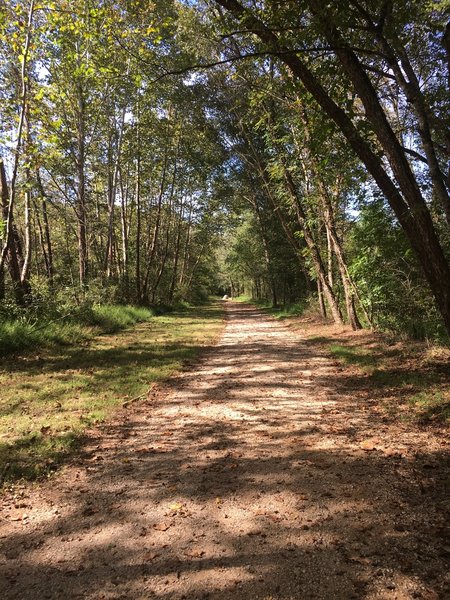 Lyle Creek Greenway