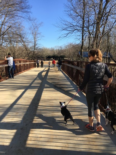 McAlpine Creek Greenway