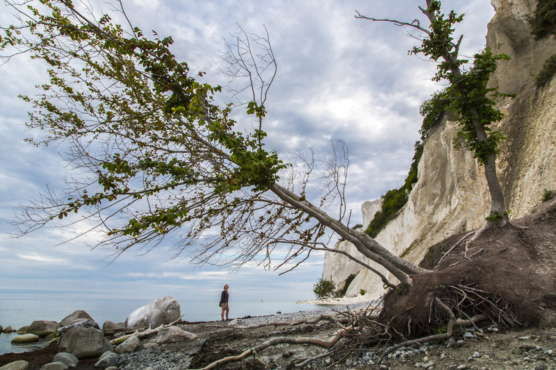 Mons klint