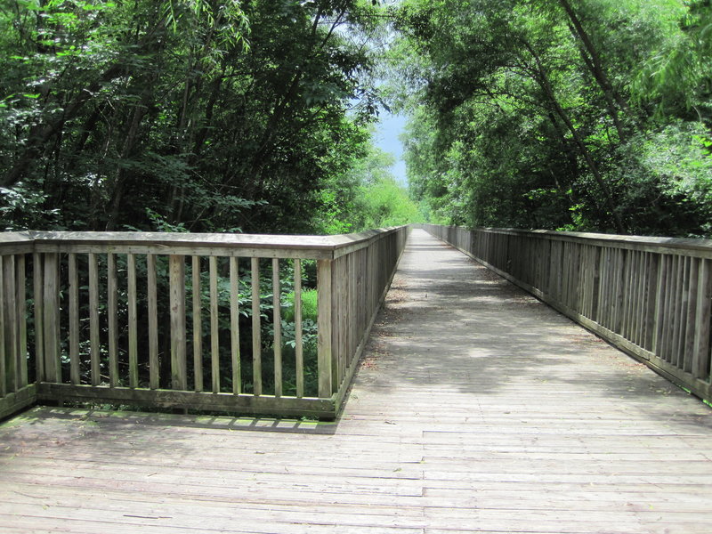 Elevated boardwalk at Mallard Creek Greenway.