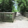 Elevated boardwalk at Mallard Creek Greenway.