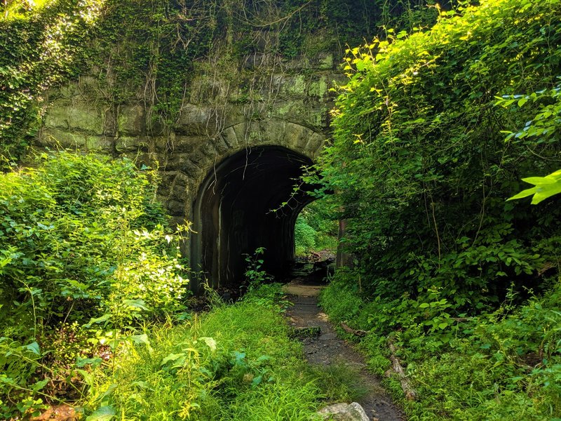 Tunnel connecting the Grist Mill Trail to the Vineyard Springs Trail.