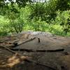 View looking off Ilchester Rocks in Summer.